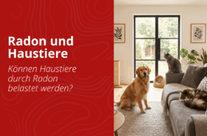 Haustiere liegen im Wohnzimmer neben einem digitalen Radonmessgerät - Radon und Haustiere